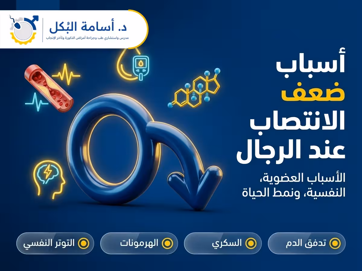 أسباب ضعف الانتصاب عند الرجال | متى يكون الخطر حقيقي؟ – د. أسامة البكل