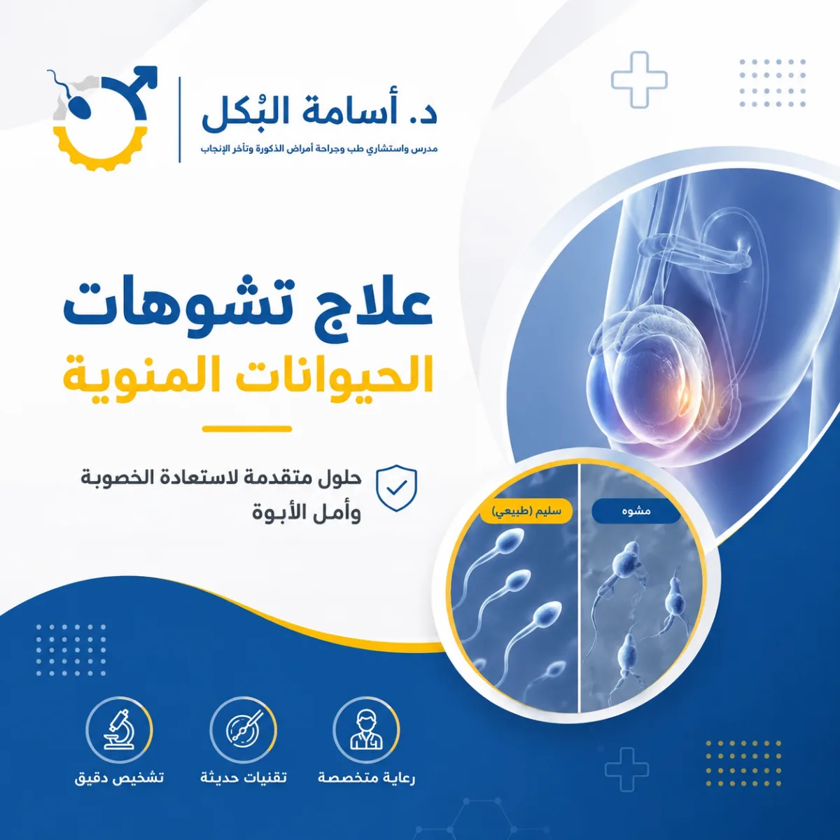 علاج تشوهات الحيوانات المنوية: هل تمنع الحمل وما هي النسبة الطبيعية؟